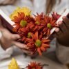 autumn flowers